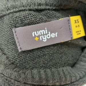 Rumi & Ryder Boy's Long Sleeve Crew T-Rex Sweater